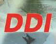 ddi_logo_cr_csa_formation_ssct-9.png