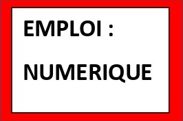 emploi_dans_le_numerique-1_page-0001.jpg