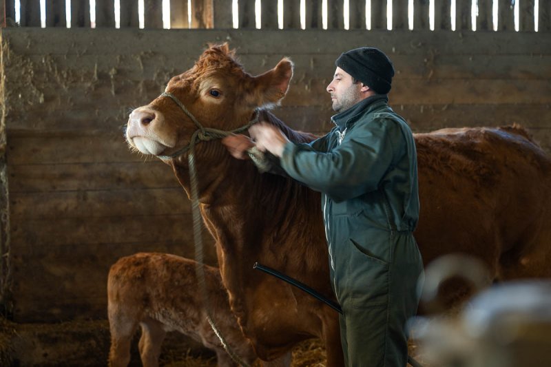 oupette_limousin_2025.jpg