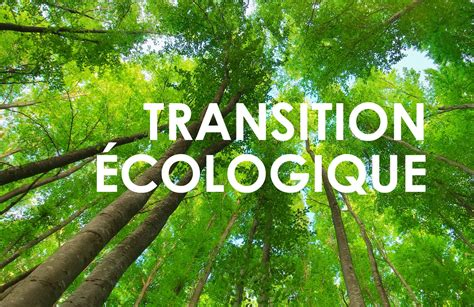 foret_titre_t_eco.png