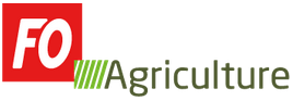 logo_fo_a.png