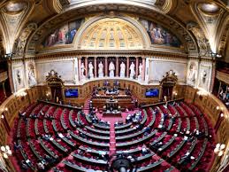 senat-4.jpg