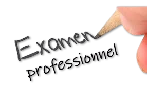 examen_pro_sansfond-2.png