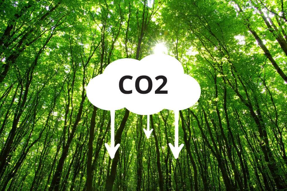 ecologie-3.jpg