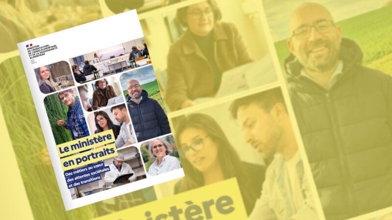 actu-site-recruteur-800x450.jpg