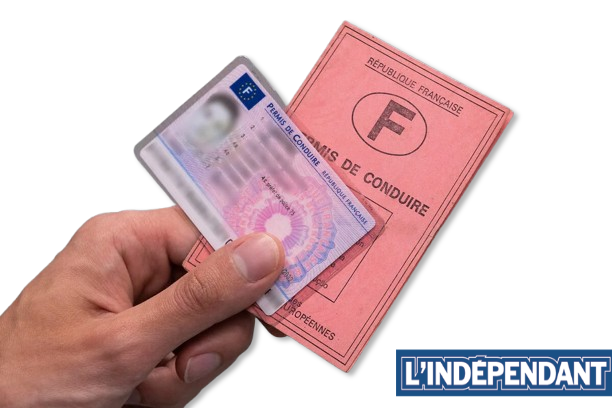 permis-conduire-astuces_independant.png