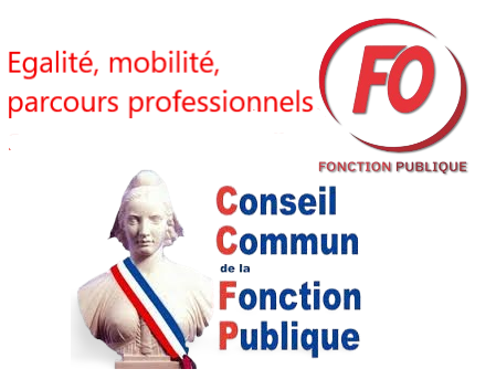 ccfp_fs3.png