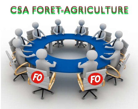 csa_foret_agriculture-3.jpg