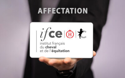IFCE : Directeur général