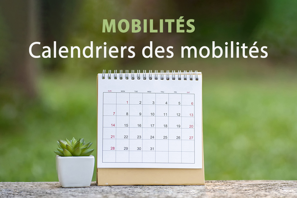 Calendriers des mobilités au ministère de l'Agriculture