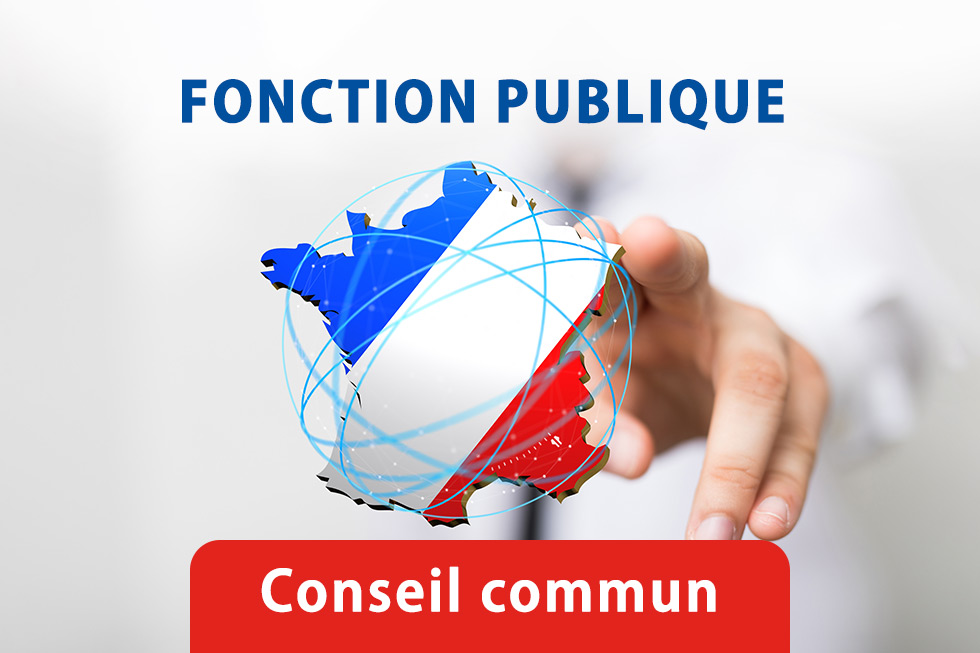 Conseil commun de la fonction publique