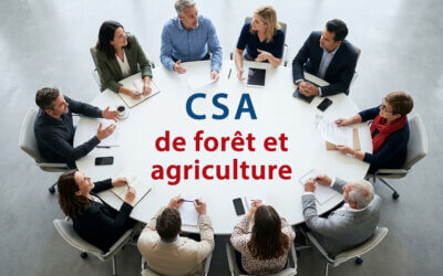 Arrêté du 8 avril 2026 modifiant l’arrêté du 12 mars 2023 portant création et composition de la formation spécialisée comité social d’administration Forêt-Agriculture du MAASA