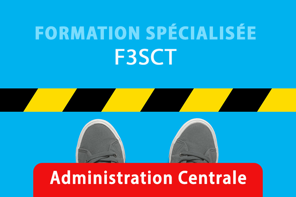 Formation spécialisée d'administration centrale (F3SCT)