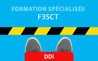 Restauration, IA, signalements, QVCT: au menu de la Formation Spécialisée des DDI du 23 mars 2026