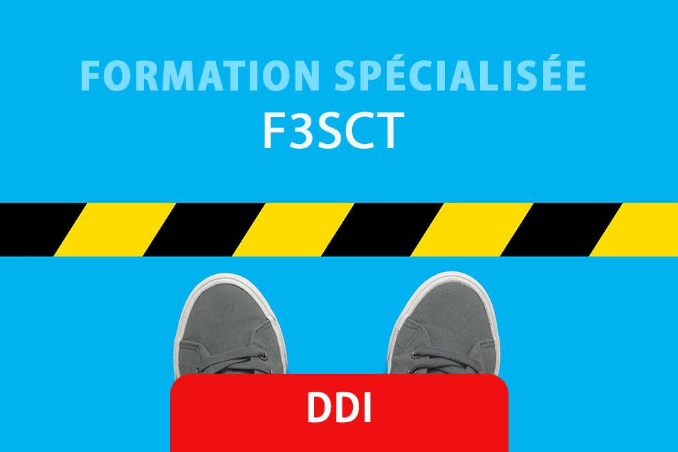 Formation spécialisée de DDI