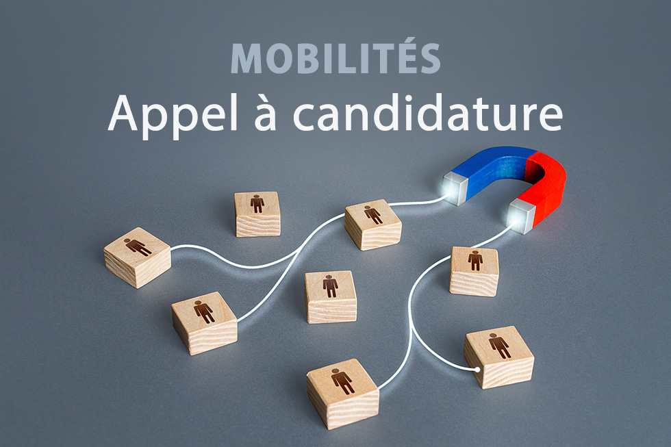 Appel à candidatures pour la mobilité des agents au MAASA