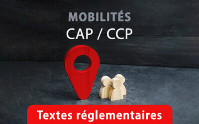 Commission consultative paritaire (CCP)