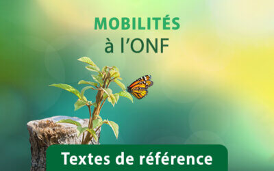 Arrêté du 15 juillet 2024 désignant une opération de restructuration au sein de l’Office national des forêts ouvrant droit au bénéfice de la prime de restructuration de service et de l’allocation d’aide à la mobilité du conjoint