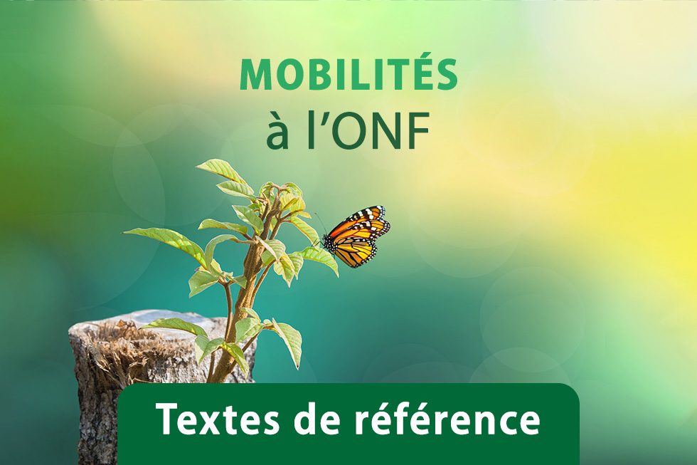 Textes de référence des mobilités à l'ONF