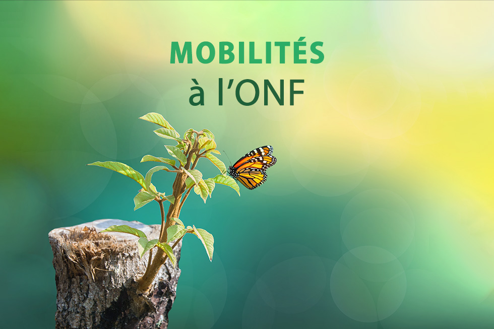 Mobilités à l'ONF
