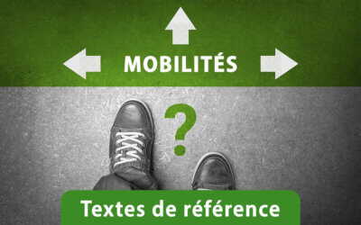 Emploi des travailleurs handicapés par voie du détachement (SA et attaché)