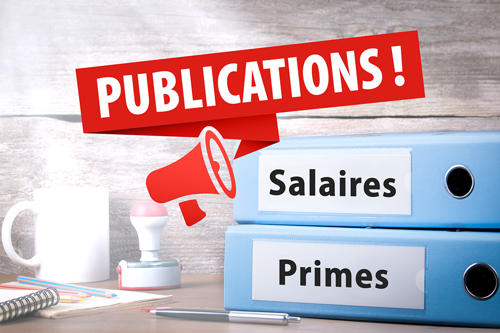 Publications concernant les salaires et primes